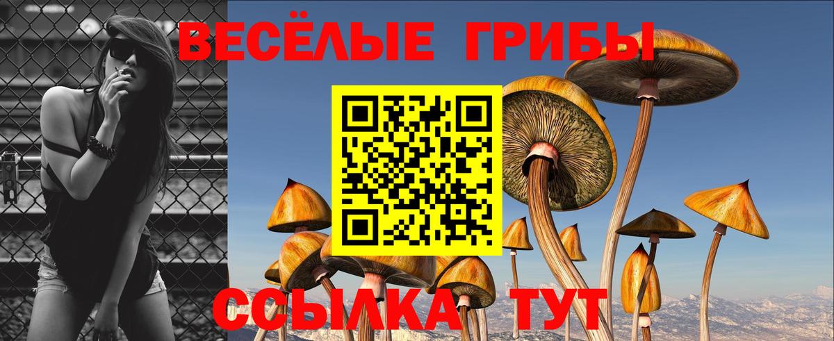 Когалым  Псилоцибиновые грибы MAGIC MUSHROOMS  Вход с VPN 